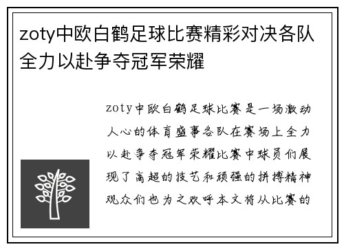 zoty中欧白鹤足球比赛精彩对决各队全力以赴争夺冠军荣耀
