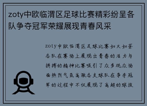 zoty中欧临渭区足球比赛精彩纷呈各队争夺冠军荣耀展现青春风采